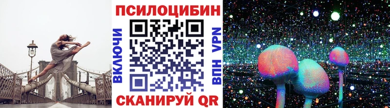 Купить где  Туапсе  Псилоцибиновые грибы Cubensis 
